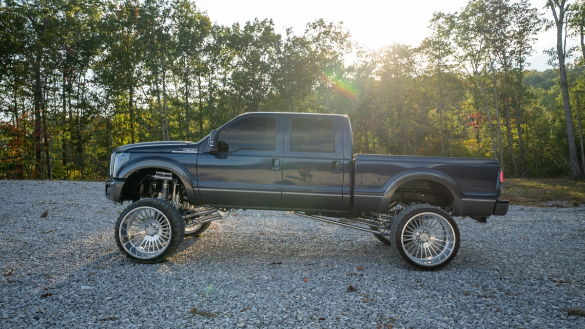 Side profile of Blue Collar with the sun flaring through the trees